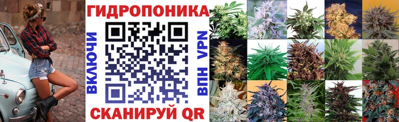 OMG как зайти  Злынка  Бошки Шишки марихуана 